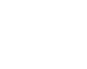 aria-shisha